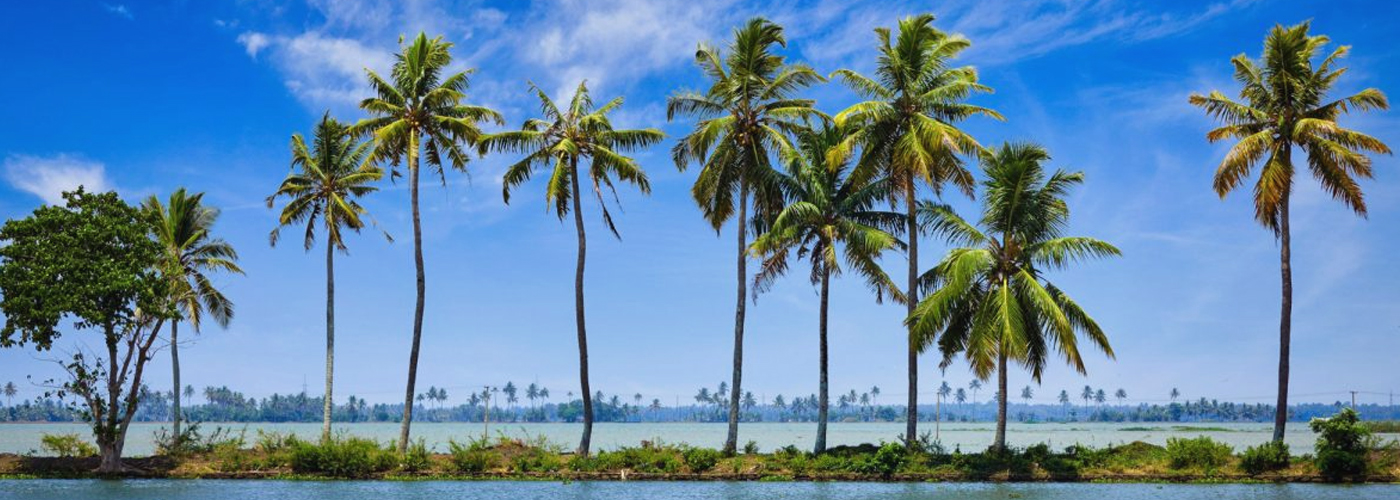 Kerala - Gods Own Country